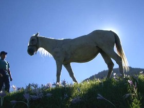 turizmus, székelyföldi vakáció